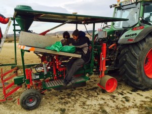 Plantation de Vignes