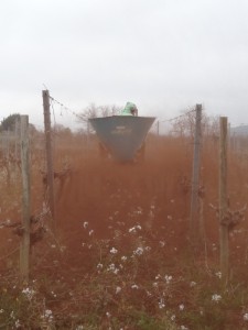 Essai du Biochar sur nos sols