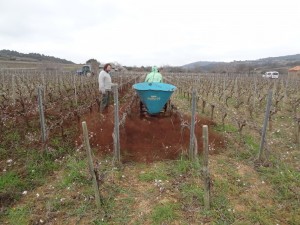 Essai du Biochar sur nos sols