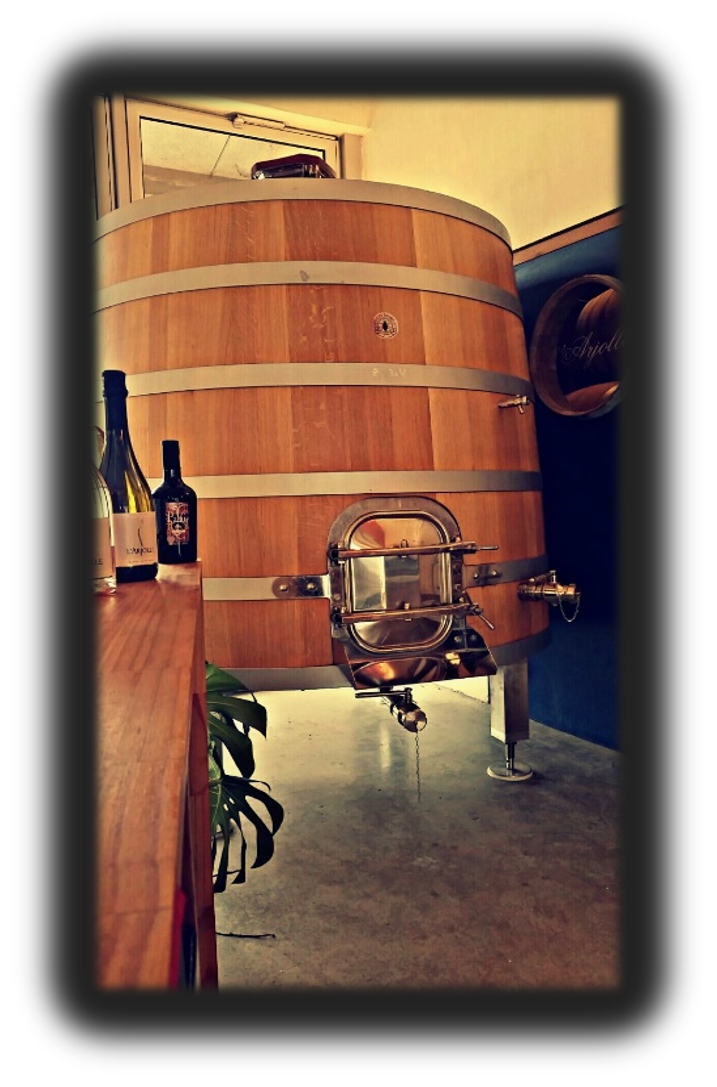 Cuve Tronconique Seguin Moreau Fût 30hl Seguin Moreau