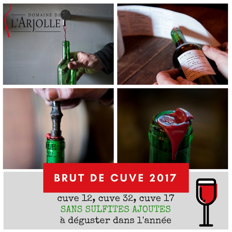 Vin sans sulfite des Côtes de Thongue Vin sans sulfite