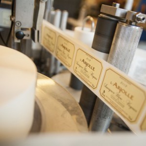 Article « The Star » sur l’Arjolle Blanc