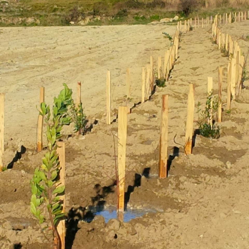 Biodiversité – séminaire SupAgro