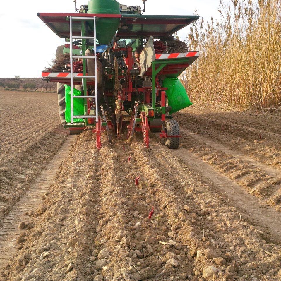 Un peu plus de Zinfandel…