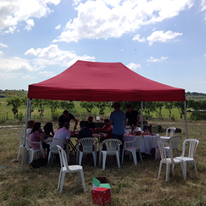 Caves Jacquot à l’Arjolle