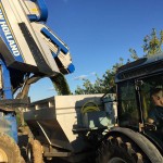 Première récolte de Sauvignon