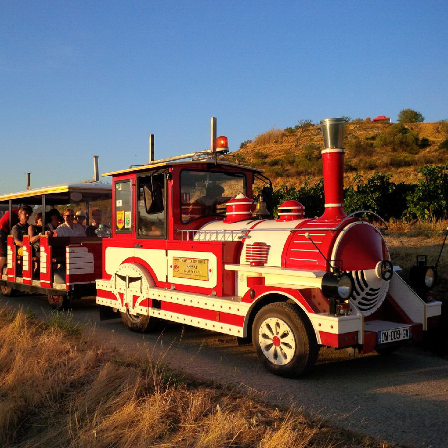Jacques Wine Depot en visite à l’Arjolle