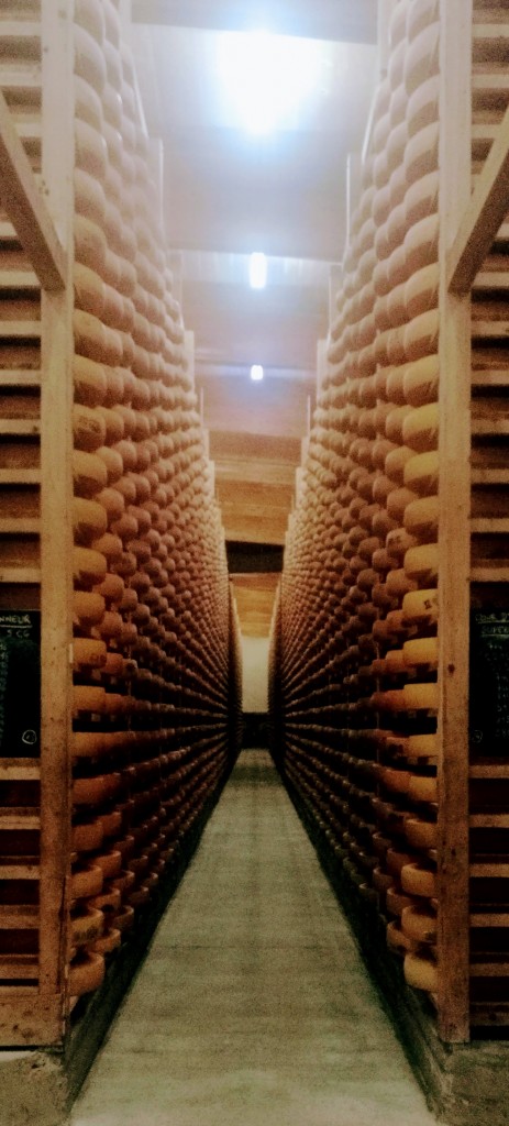 Fort Saint-Antoine, cave d'affinage des comtés