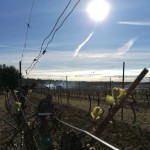 Repas de fin de taille