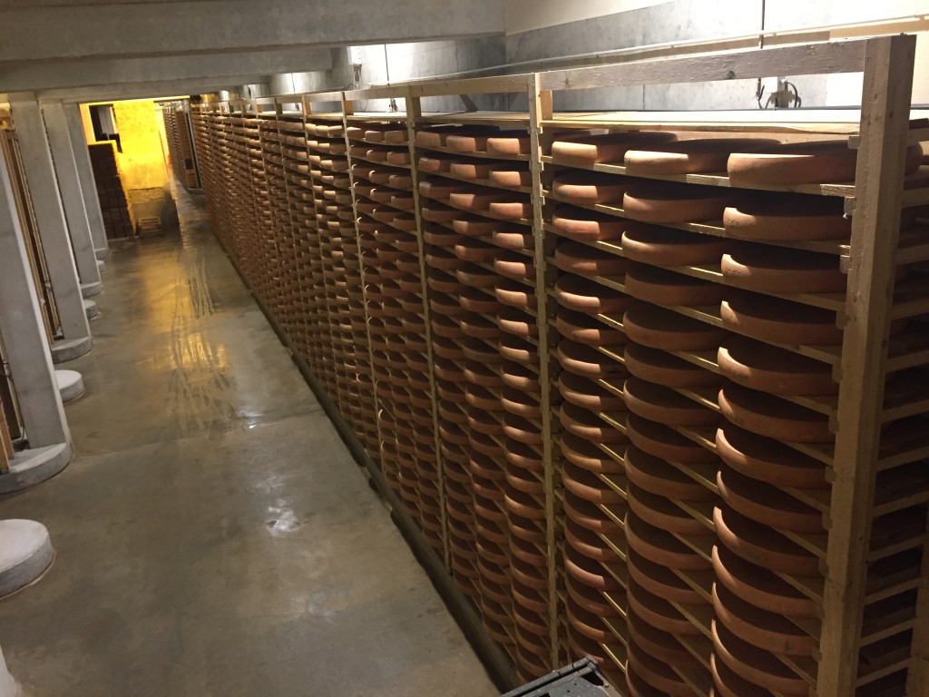 Cave d'affinage des Comtés