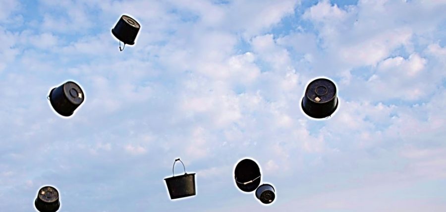 Il est comment ce millésime 2017 ?