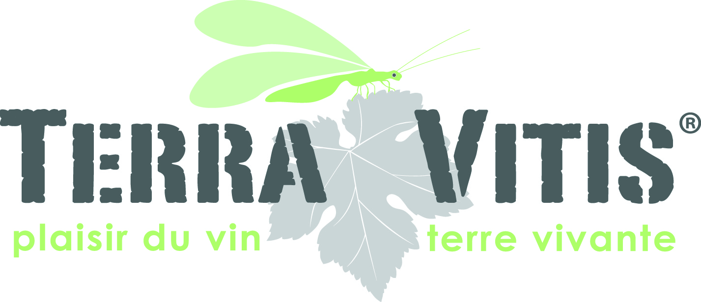 Se mettre au vert durablement avec Terra Vitis