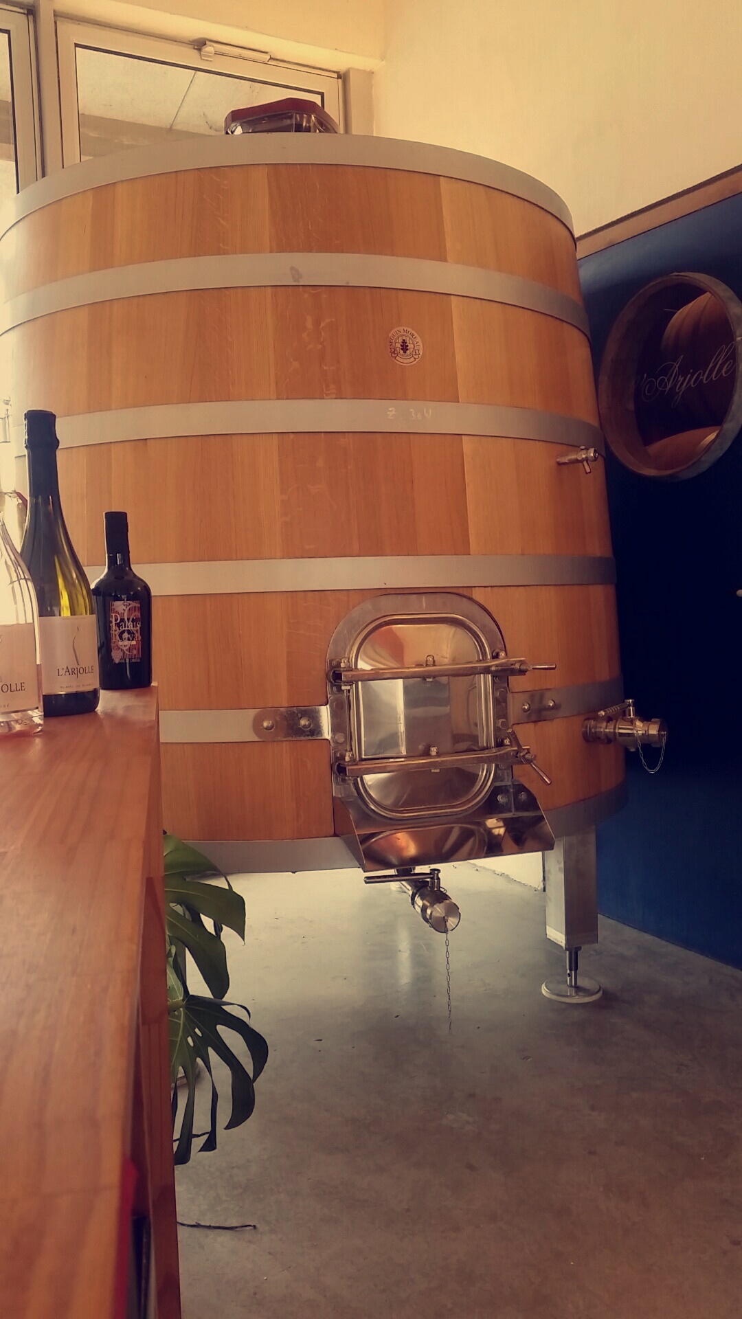 Arjolle in a conical trunk vat : Synergy between Tradition & Modernity