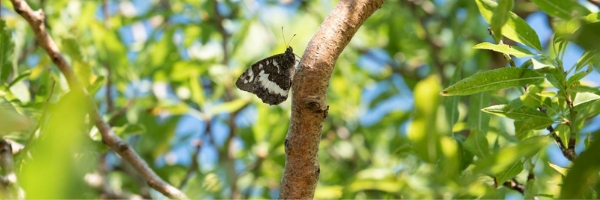 Nos labels, nos engagements, notre démarche