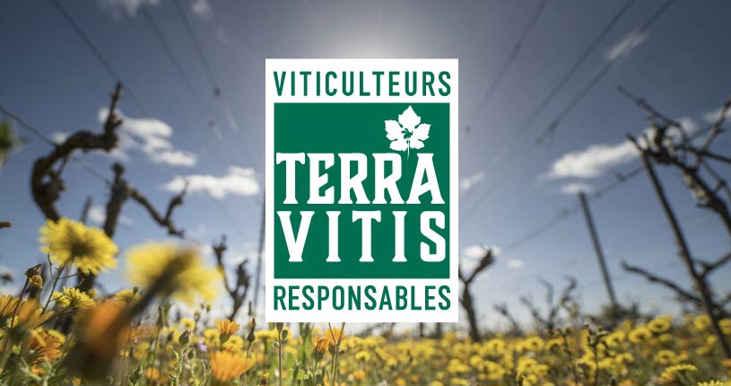 Au fil des ans 2000, terra vitis certifie l'Arjolle