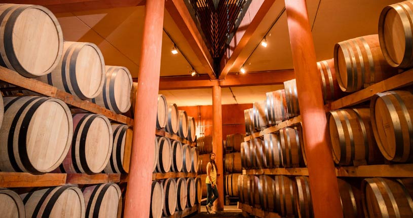 Au fil des ans 2001, le chai à barriques